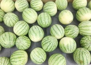 吃瓜真悠闲,揭秘娱乐圈幕后故事