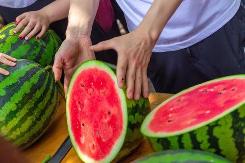 苏州大学吃瓜,吃瓜群众眼中的校园美食盛宴