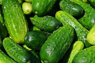 梦见别人吃咸瓜,揭秘咸瓜之梦的神秘寓意