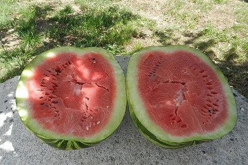 梦见女朋友吃瓜,揭秘女友吃瓜背后的情感密码