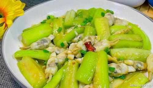 五三吃瓜网,揭秘娱乐圈最新热点，带你畅游八卦海洋