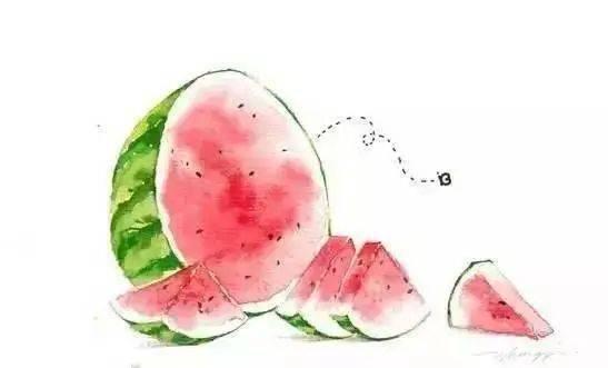 夏日吃瓜手册大全
